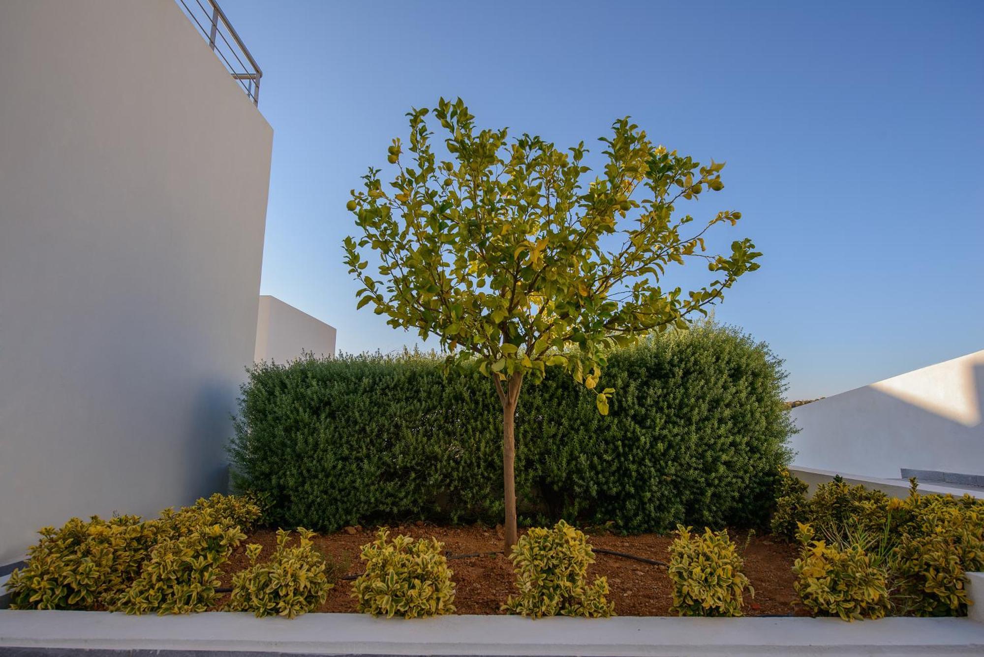Lenikos Resort Agia Galini  Exterior photo